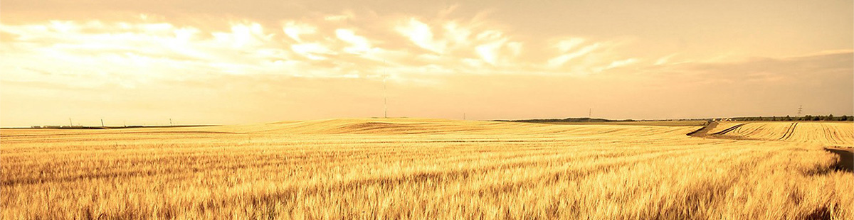 1525937481439784.jpg 未標(biāo)題-2.jpg